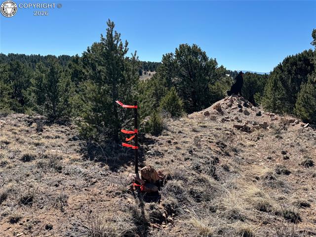 Land in Westcliffe 3