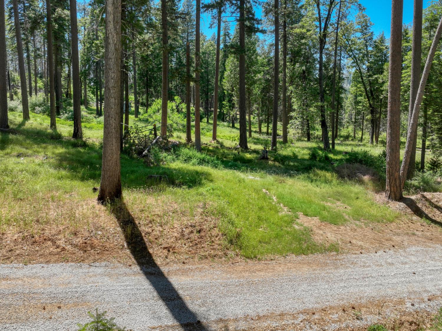 Land in Shaver Lake 5