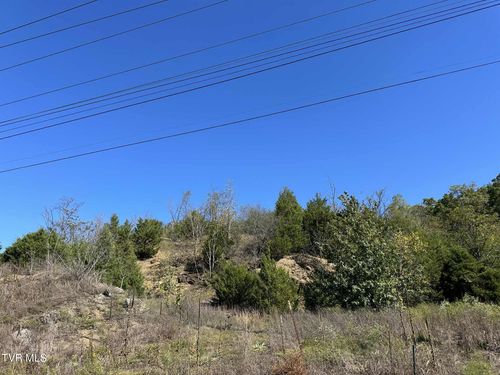 Tbd W Andrew Johnson Hwy, Mosheim, TN, 37818 | Card Image