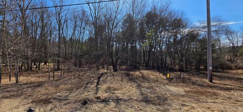 Lot 18.12 Rt. 17b, Bethel, NY, 12720 | Card Image