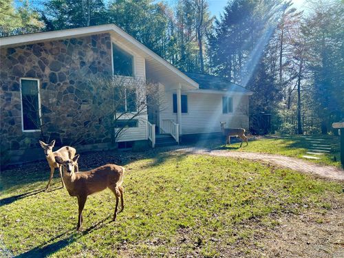 471 Horseshoe Lake Rd, Swan Lake, NY, 12783-5233 | Card Image