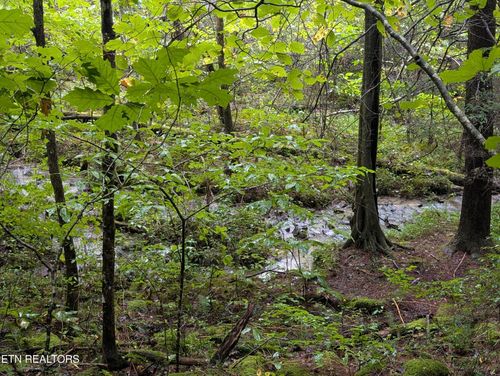 0 Catoosa Dr, Lancing, TN, 37770 | Card Image