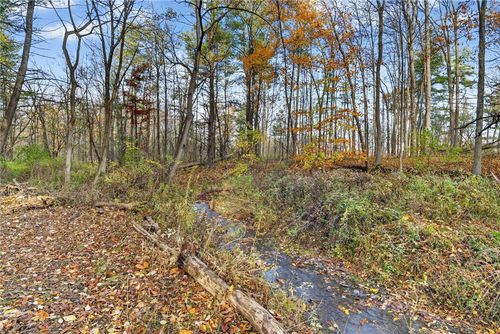 00 Burdick Hill Road, Lansing, NY, 14850 | Card Image