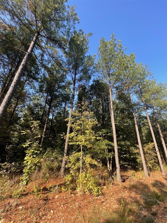 Land in Broken Bow 3