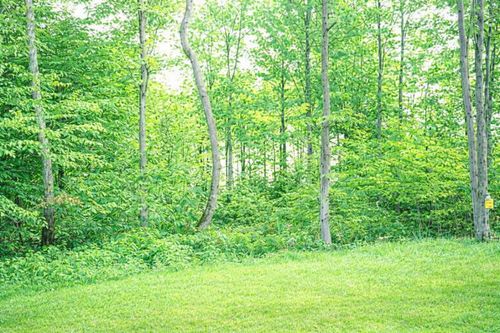 8922 Cedar Creek Dr, Petoskey, MI, 49770-6606 | Card Image