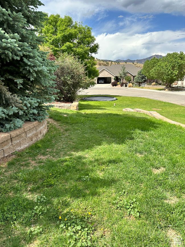 View of grassy yard with a mountain view | Image 4