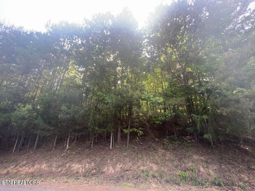 123 Hilty Head Ln, La Follette, TN, 37766-6772 | Card Image