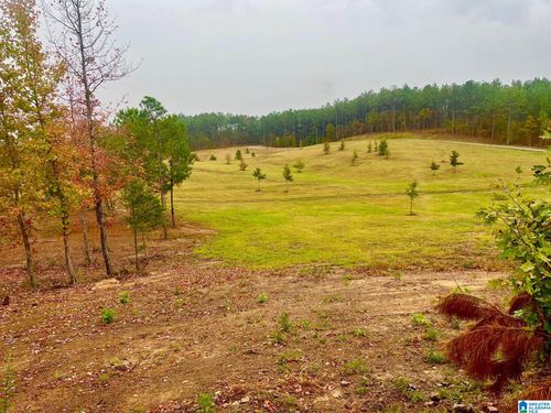 1-0 Highway 47, Columbiana, AL, 35051 | Card Image