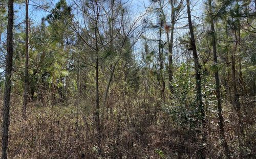 0 117th Ct, Live Oak, FL, 32060 | Card Image