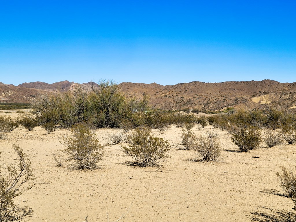 Land in Terlingua 4