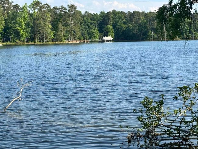 348 Amalfi Dr, House other with 3 bedrooms, 3 bathrooms and null parking in Chapin SC | Image 34
