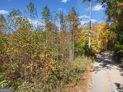 11.51 AC Old Burnt Mt Rd, Home with 0 bedrooms, 0 bathrooms and null parking in Ellijay GA | Image 2