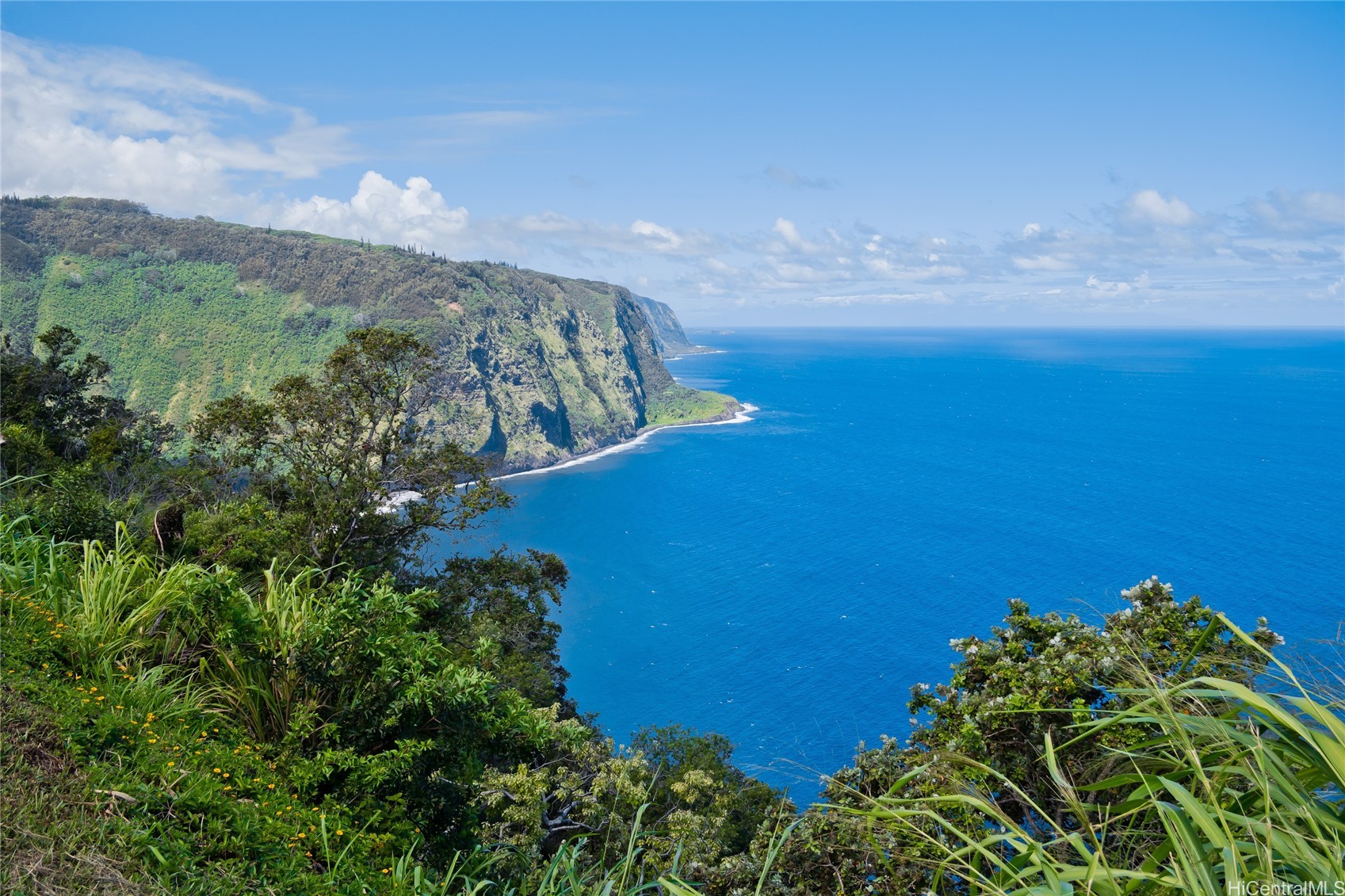Waipio Valley Rd, Honokaa, HI 96727 #1
