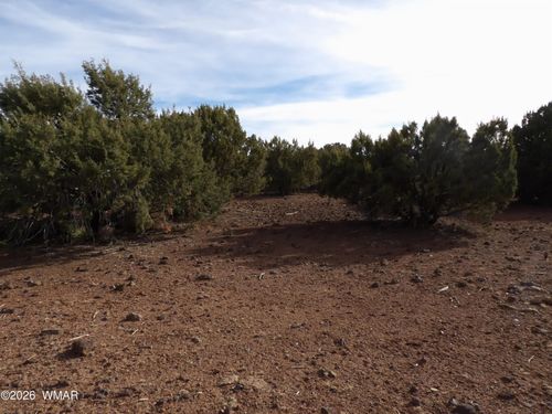 Lot 14B N3411, Vernon, AZ, 85940 | Card Image