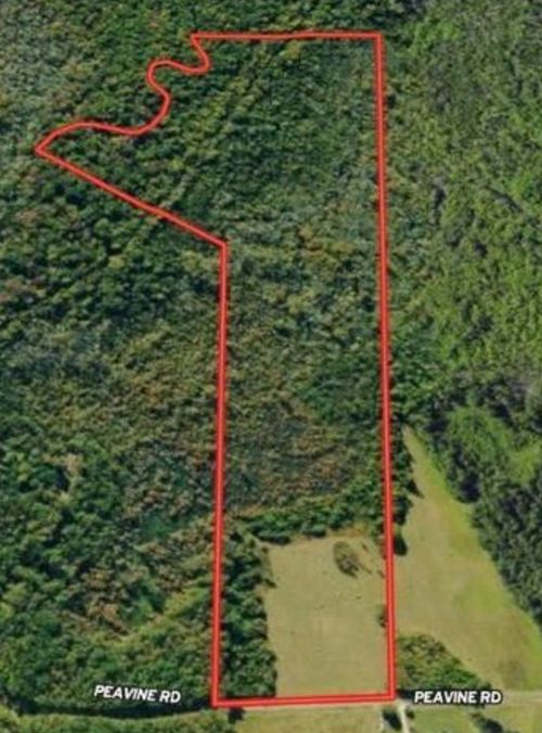 0 Pea Vine Rd, Pocahontas, TN, 38061 | Card Image