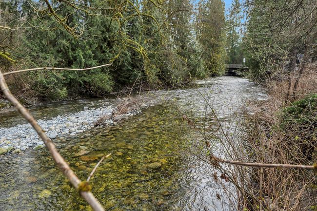 View of water feature featuring a forest view | Image 35