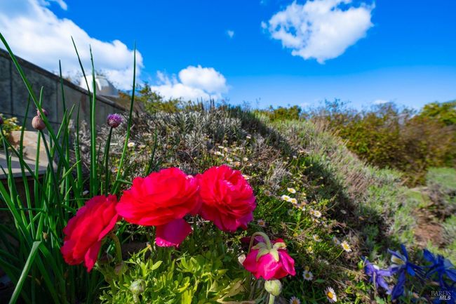 2614 Scotts Right Of Way, House other with 4 bedrooms, 4 bathrooms and 10 parking in Sebastopol CA | Image 83