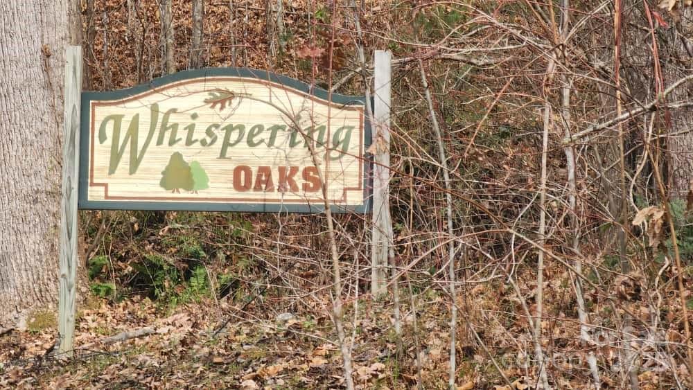 Land in Waynesville 4