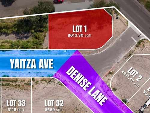 Lot 1 Yaitza Avenue, Roma, TX, 78584 | Card Image