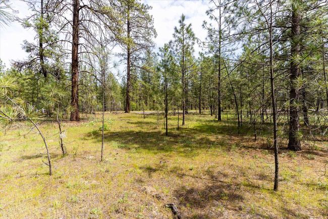 6574 Kate Dr, Home with 0 bedrooms, 0 bathrooms and null parking in Nine Mile Falls WA | Image 8