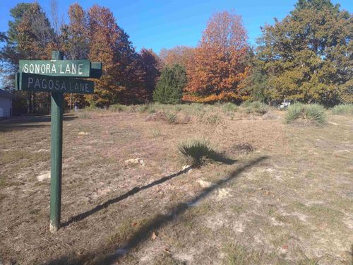 TBD Lot Pagosa, Holly Lake Ranch, TX, 75765 | Card Image