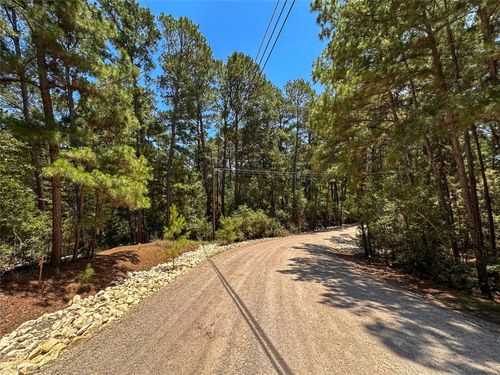 133 Wainee Dr, Bastrop, TX, 78602-6224 | Card Image