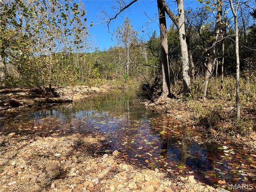 TBD County Road 906, Bunker, MO, 63629 | Card Image