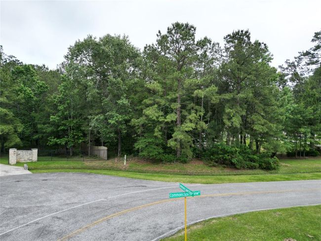 0 Commons Scenic View Dr, Home with 0 bedrooms, 0 bathrooms and null parking in Huffman TX | Image 4