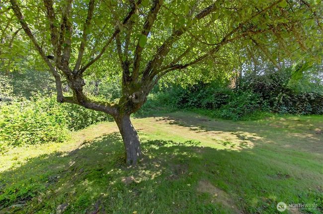 325 E State Route 4, House other with 3 bedrooms, 1 bathrooms and 1 parking in Cathlamet WA | Image 30