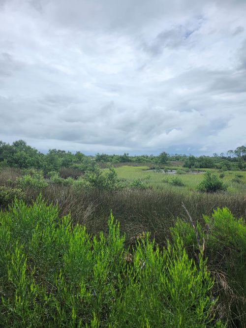 TBD Watson Cir, Cedar Key, FL, 32625 | Card Image
