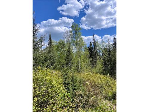 xxxx Highway 1, Finland, MN, 55603 | Card Image