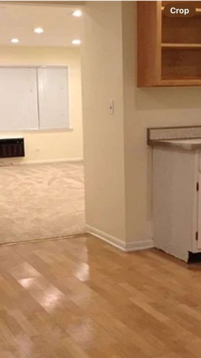 APT-2 - 960 Shermer Rd, Condo with 1 bedrooms, 1 bathrooms and 1 parking in Glenview IL | Image 13