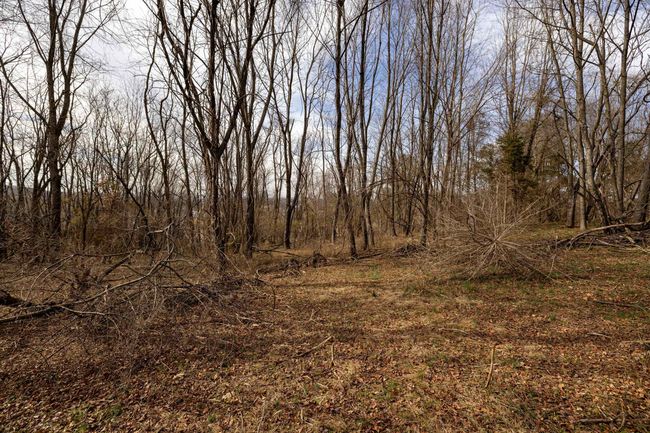 0 Shen Lake Rd, Home with 0 bedrooms, 0 bathrooms and null parking in HARRISONBURG VA | Image 38