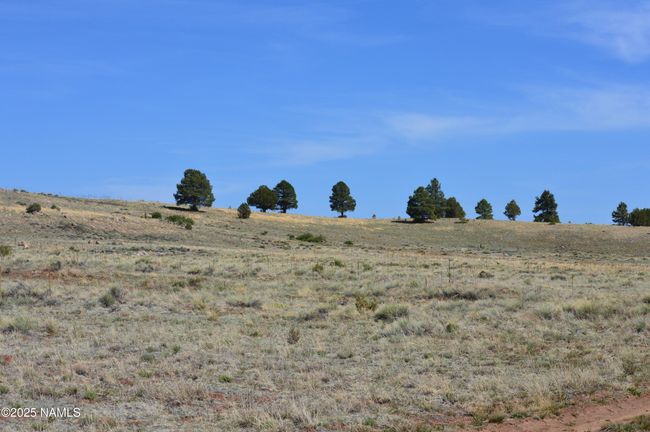 2 E Tanner Ranch Rd, Home with 0 bedrooms, 0 bathrooms and null parking in Parks AZ | Image 23