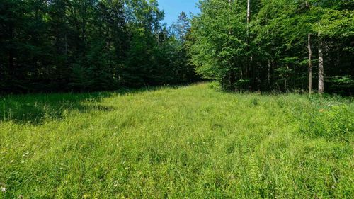 0 Berry Patch Lane, Ludlow, VT, 05149 | Card Image