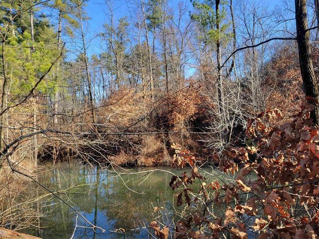 1250 Ashby Rd, Home with 0 bedrooms, 0 bathrooms and null parking in Centertown KY | Image 10