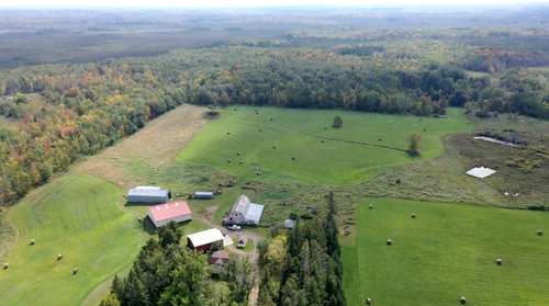 14331 395th Ln, Tamarack, MN, 55787-5427 | Card Image