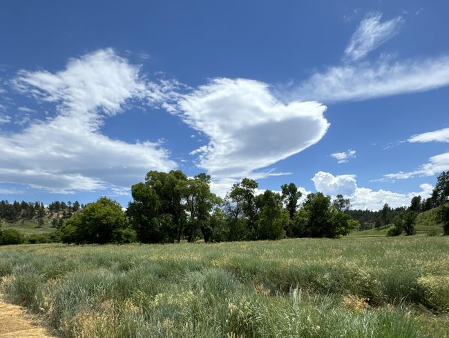 R-9 Mustang Valley Road, Home with 0 bedrooms, 0 bathrooms and null parking in Hulett WY | Image 7