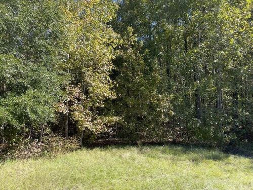 0 Carolina Highway, Olar, SC, 29843 | Card Image