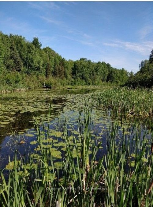 445 Fox Run, Temagami, ON, P0H | Card Image