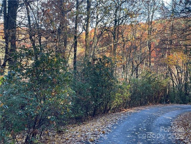 4 - 9999 Sassafras Ln, Home with 0 bedrooms, 0 bathrooms and null parking in Cedar Mountain NC | Image 30