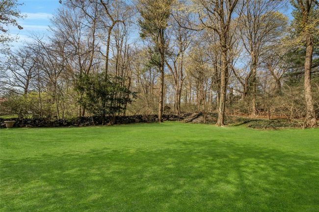 View of yard | Image 22