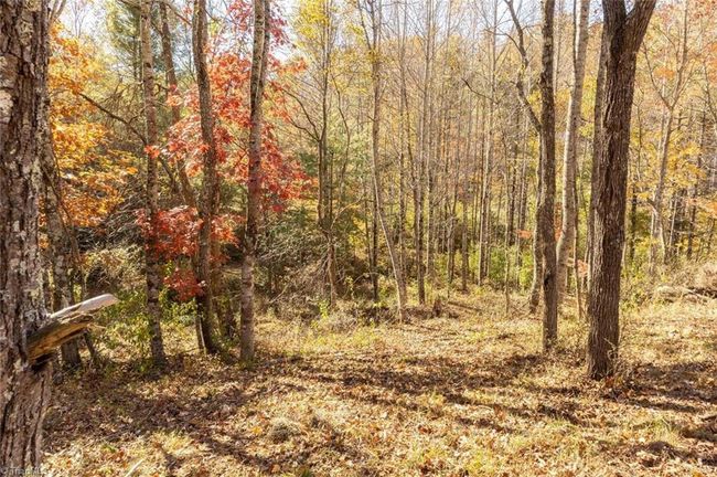 0 Laurel Creek Rd Ne, Home with 0 bedrooms, 0 bathrooms and null parking in Pilot VA | Image 26