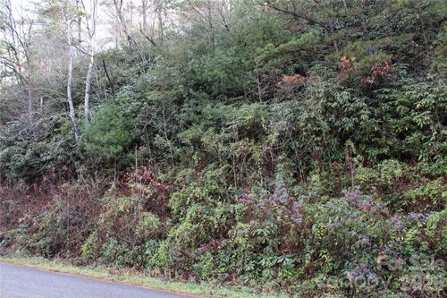 TBD Stamey Creek Rd, Brevard, NC, 28712 | Card Image