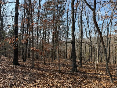 Lot 112 Walnut Springs Dr, Cape Fair, MO, 65624-4201 | Card Image
