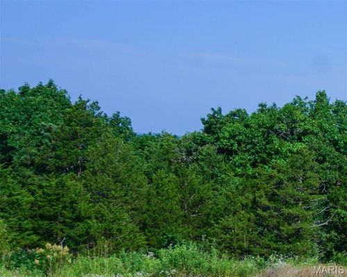43.21 m/l Ac State Route O, Rolla, MO, 65401 | Card Image