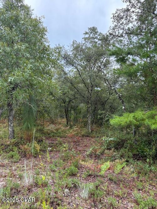 0 Nw White Ln, Altha, FL, 32421 | Card Image