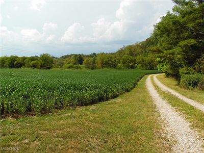 View of street with a rural view | Image 3