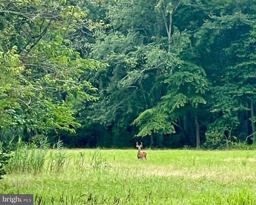 2600 Church St, Port Norris, NJ, 08349 | Card Image