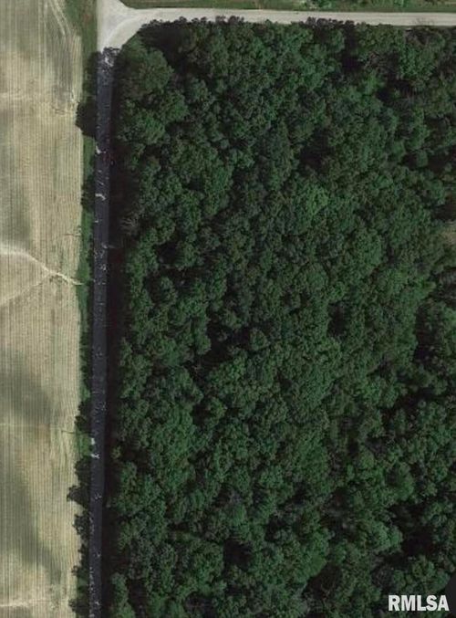 000 Iola Ln, Louisville, IL, 62858 | Card Image